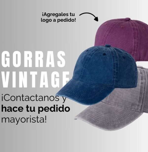 Gorras Vintage Variedad de colores