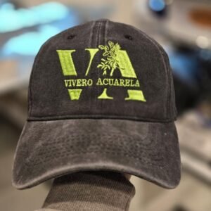 Gorras vintage bordadas
